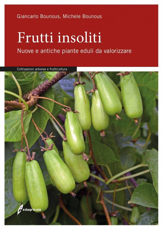 EDAGRICOLE FRUTTI INSOLITI |Giancarlo Bounous e Michele Bounous