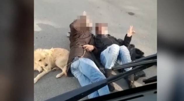 CREMA- SENZA BIGLIETTO BLOCCANO I PULLMAN. VIDEO