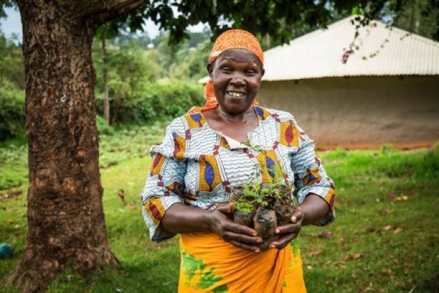 Nasce la foresta Brembo in Kenya con 14.000 alberi