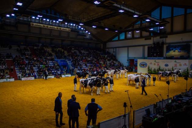 TORNANO A CREMONA LE FIERE ZOOTECNICHE INTERNAZIONALI