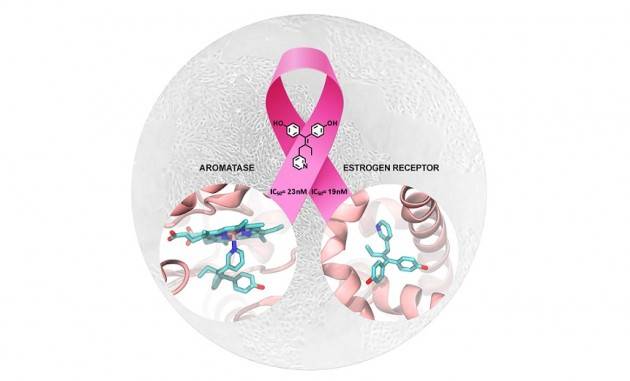 Tumore al seno: possibili nuove molecole per trattamenti più efficaci
