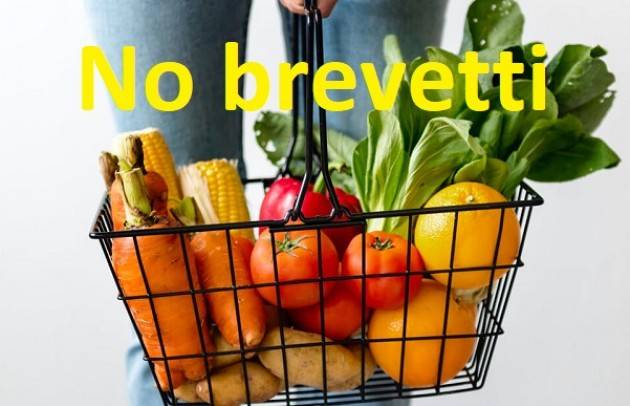 Firma Petizione No ai brevetti sul nostro cibo!