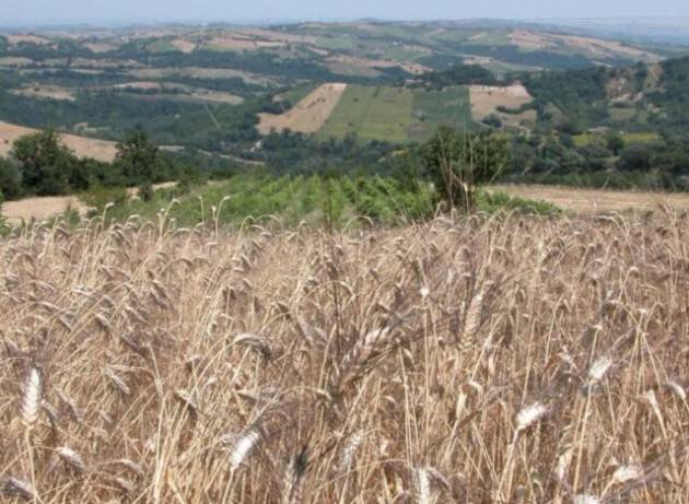 Italia e agricoltura: il grande bluff per la politica agricola comune post 2022