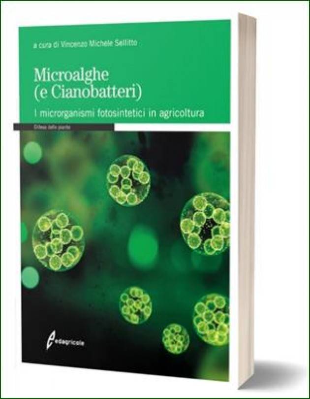 Edagricole  MICROALGHE (E CIANOBATTERI