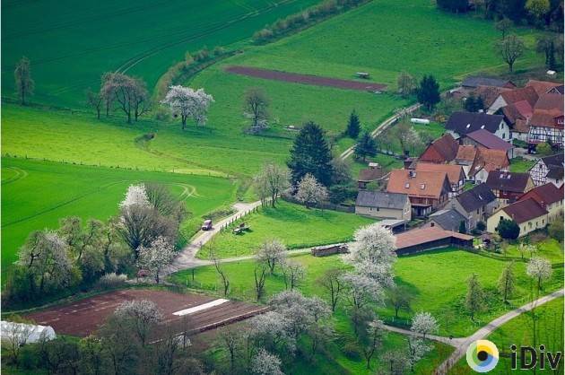 Approvata la riforma della Politica agricola comune EUROPEA