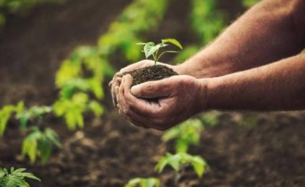 Più verde e più equa: l’Europarlamento approva la riforma della politica agricola comune