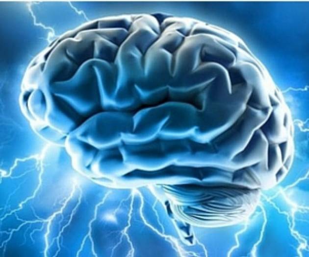 Una ''bussola'' nel cervello per navigare tra i pensieri: la nuova scoperta del CIMeC di UniTrento