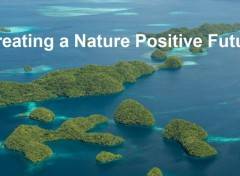 Creare un futuro nature positive: investire in aree protette e conservate efficaci