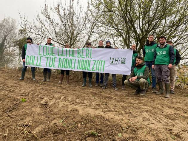 Lombardia Festa dell'albero, Foresta Che Avanza