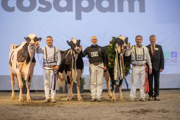 MOSTRA ZOOTECNICA INTERNAZIONALE DI CREMONA FIERE ECCO LE VINCITRICI