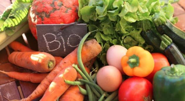 Coldiretti e Legambiente: la Camera approvi subito e definitivamente la legge sul biologico