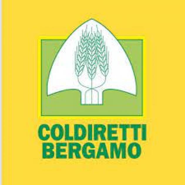 Arrivano i decreti salva spesa Made in Italy, soddisfazione di Coldiretti Bergamo