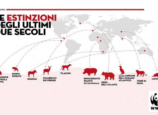 Più di 160 specie estinte negli ultimi 100 anni. Diverse le cause ma c’è sempre la mano dell’uomo