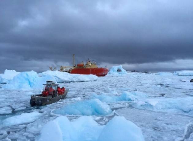 I pesci antartici possono adattarsi al riscaldamento dell’Oceano Antartico