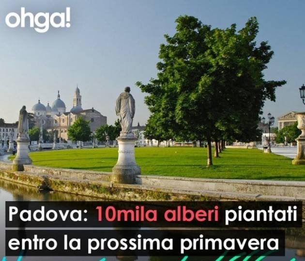 Ohga : Padova 10mila alberi piantati prossima primavera 2022