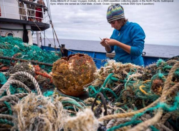 Nelle isole di plastica oceniche stanno crescendo comunità viventi neopelagiche