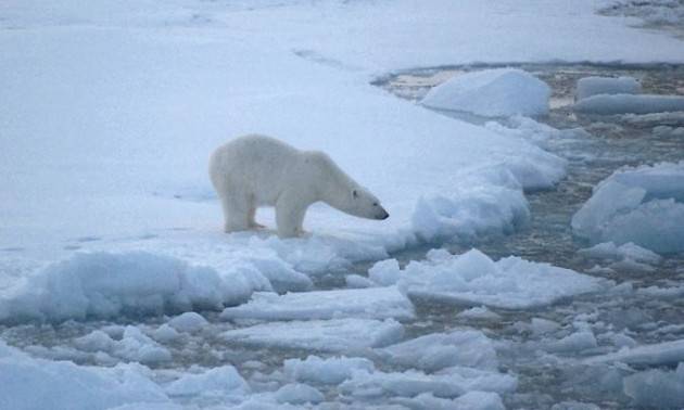 Un Polo Nord sempre più fragile