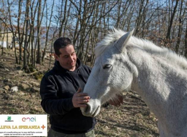 Post Sisma Centro Italia: il bilancio finale della campagna Alleva la Speranza