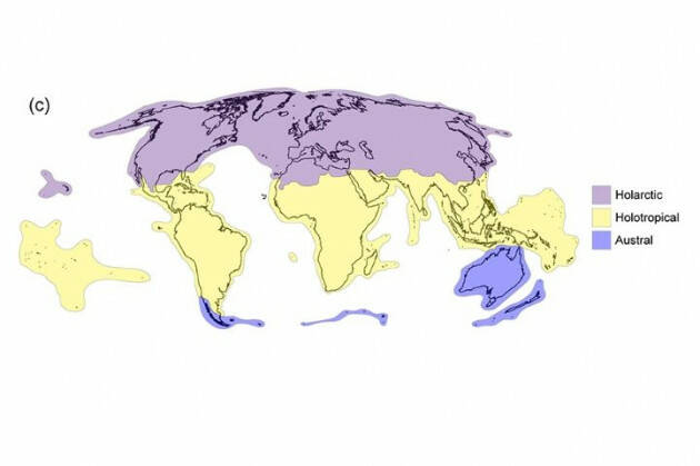 Da due antichi continenti l’evoluzione di tutte le piante attuali