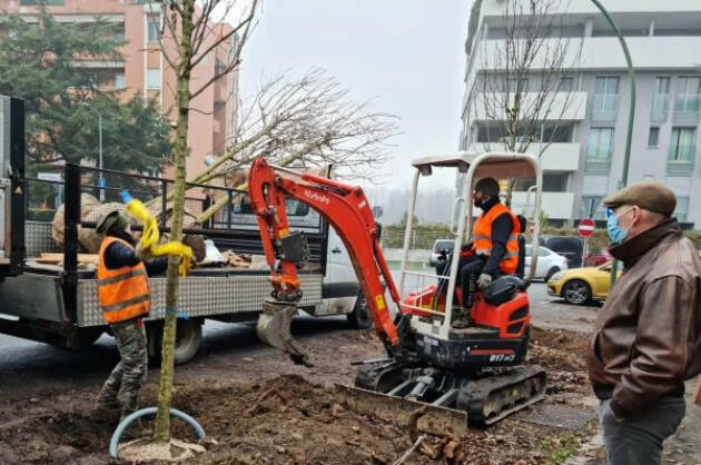 Cremona Quartiere Po, piantumazione per un totale di 88 alberi