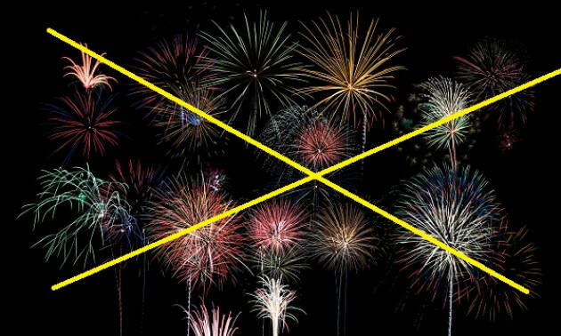 Piacenza Capodanno, vietato l’utilizzo di fuochi d’artificio, botti