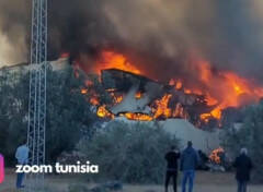I container di rifiuti italiani esportati illegalmente in Tunisia hanno preso fuoco