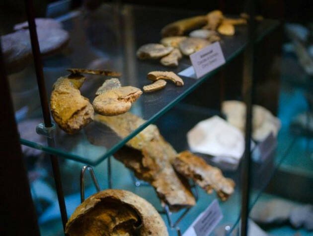 Caprino Bergamasco BG Calendario attività al Museo Geologico Luigi Torri