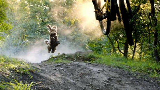 Parte da Milano il Banff Centre Mountain Film Festival