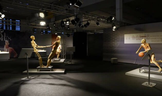 REAL BODIES A LUGANO © Miriam Ballerini