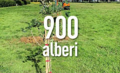 Cremona 900 nuovi alberi  aree adiacenti all’ospedale | Rodolfo Bona