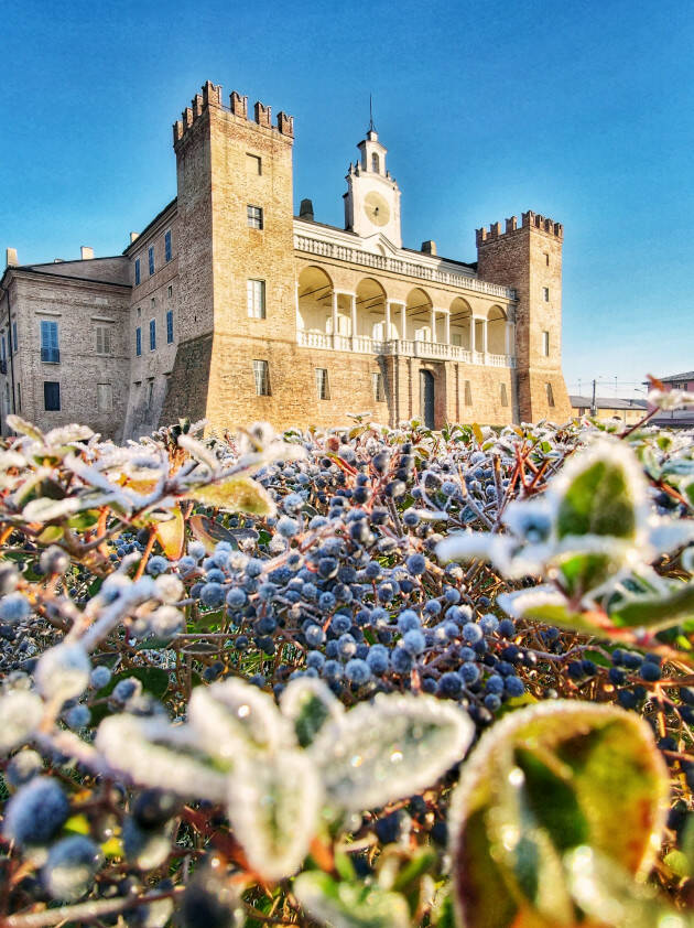 VILLA MEDICI DEL VASCELLO: BELLEZZA D’INVERNO TRA NATURA E ROMANTICISMO