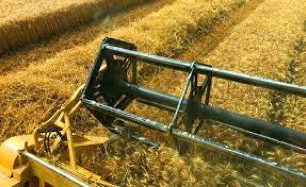 Materie prime, anche i produttori di grano made in Varese sono in affanno