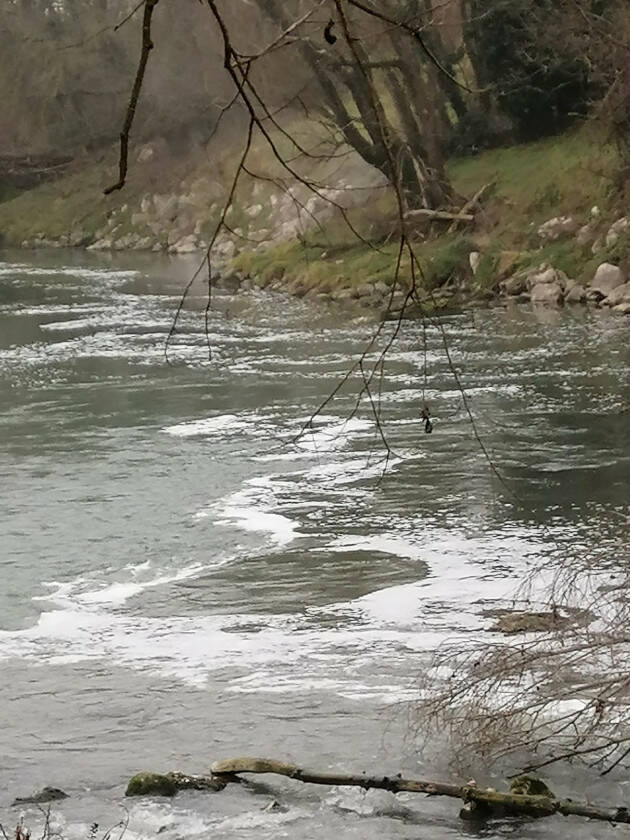 SVERSAMENTO NEL SERIO. IL FIUME SERIO NON SIA PIU' UN TERMINALE CLOACALE