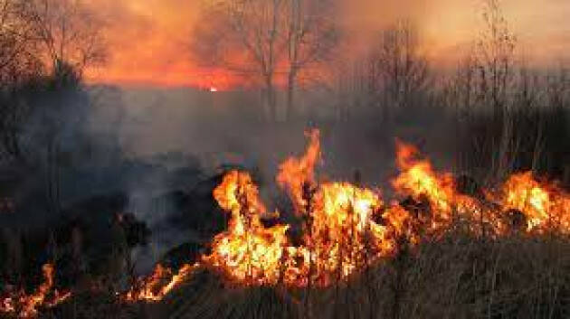 Incendi, Lombardia: 3 al giorno in una settimana