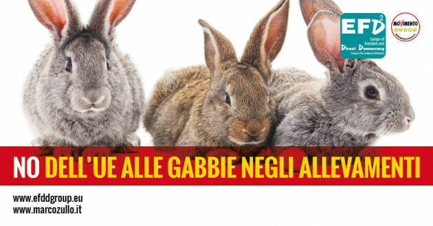 LEGA AL FIANCO DELL'AGROALIMENTARE, NO A POSIZIONI IDEOLOGICHE SU GABBIE