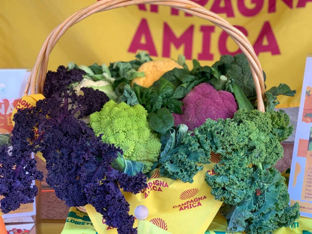 La spesa di febbraio al mercato di Campagna Amica a Crema