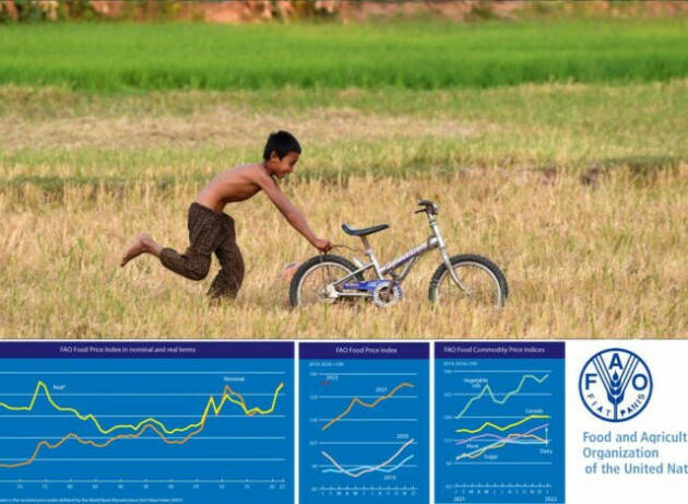 A gennaio i prezzi dei generi alimentari sono aumentati in tutto il mondo