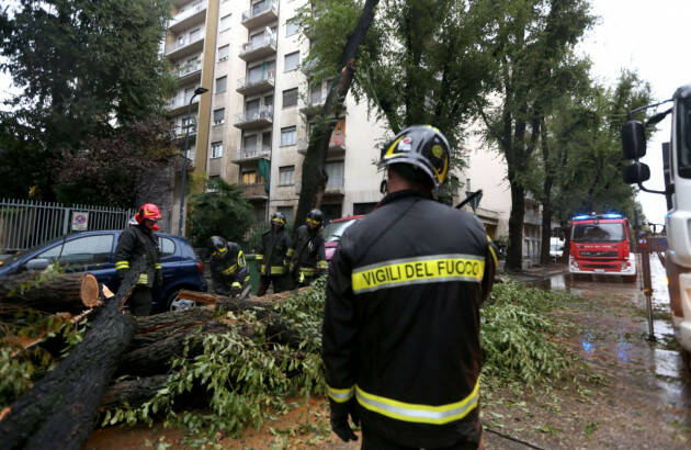  321 interventi dei Vigili del Fuoco per alberi pericolosi:interviene Coldiretti