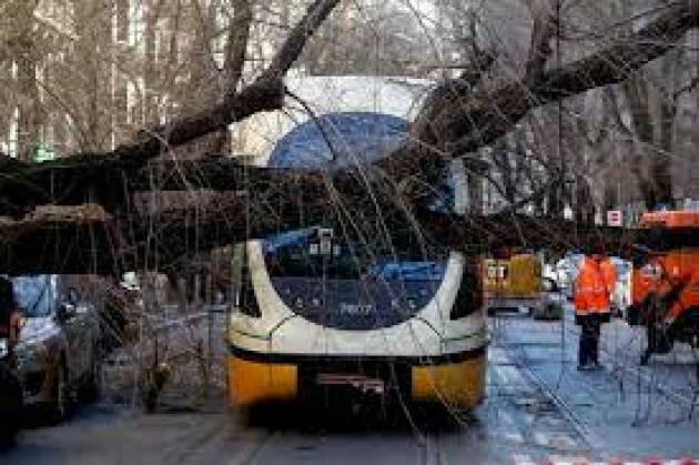 Maltempo, Lombardia: 7mila emergenze per alberi pericolosi