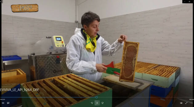 ''Evviva le api'', incontro tra gli apicoltori e gli alunni