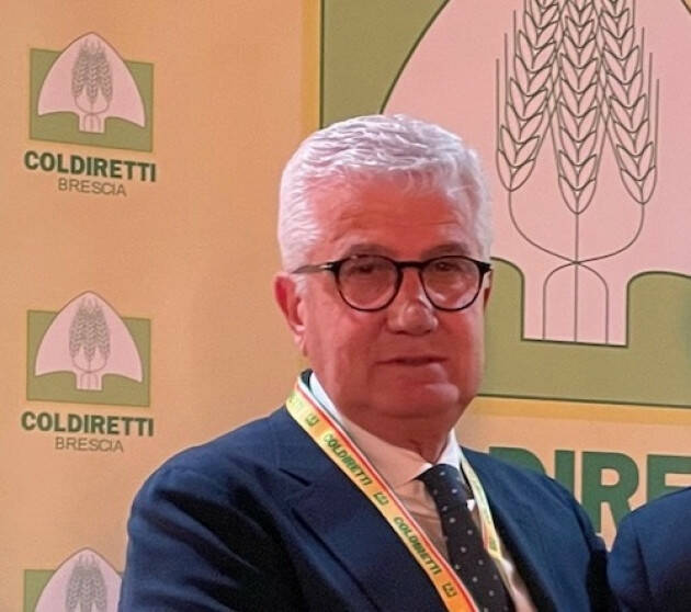 Filiera avicola: lenta ripartenza in sicurezza