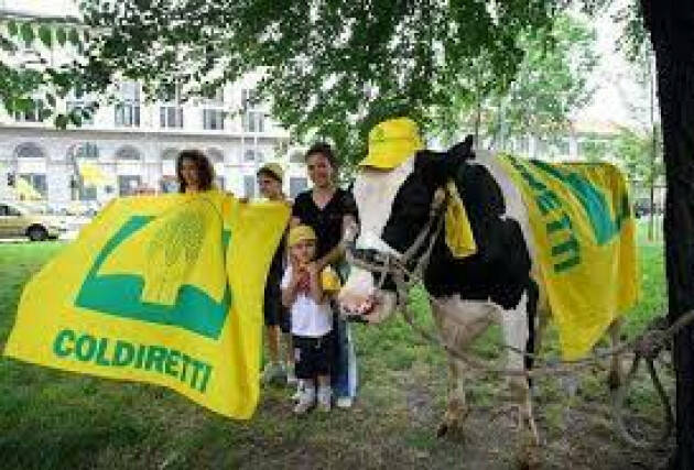 Latte: Coldiretti, pronte prime denunce contro pratiche sleali