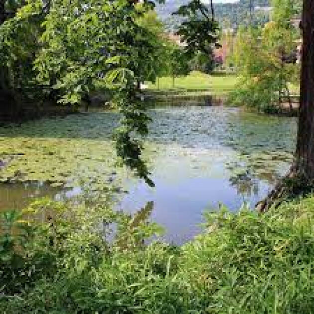 BRESCIA: I CIPRESSI DEL PARCO DUCOS VENGONO INTITOLATI ALLE MADRI COSTITUENTI