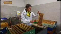 Cremona Coldiretti 'Evviva le api', incontro tra gli apicoltori e gli alunni