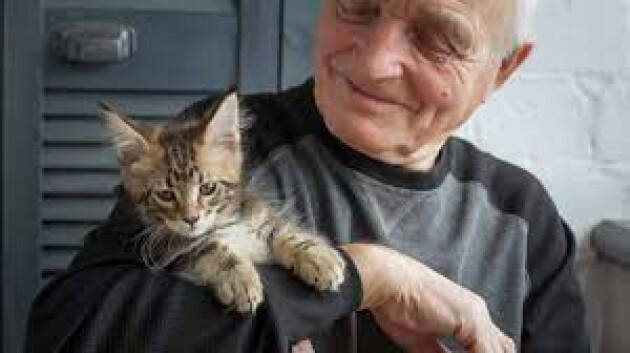 Il gatto: segreto di longevità e benessere per 1,8 milioni di senior che ne hanno uno