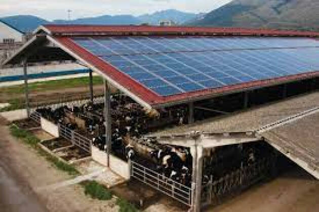 Coldiretti: ottenuti 1,5 mld per solare su migliaia tetti stalle