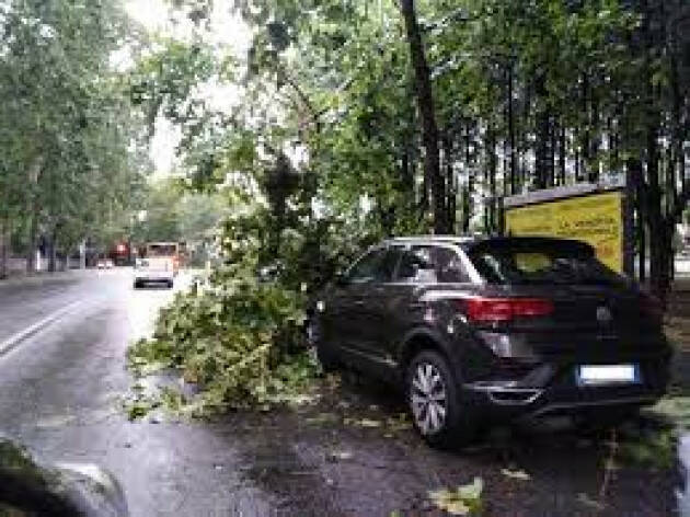 Maltempo, SOS vento forte per danni e incendi