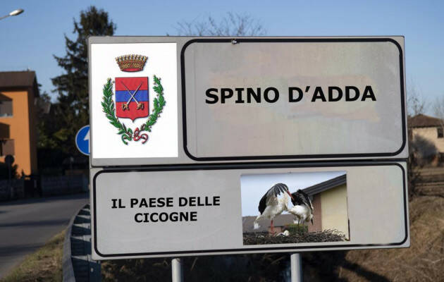 CICOGNE AL NIDO DI SPINO D'ADDA
