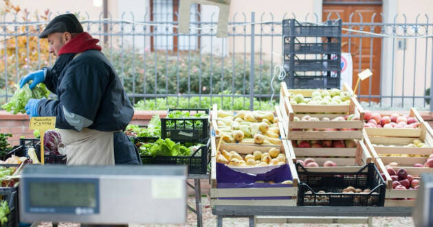 NASCE WORLD FARMERS MARKETS SCHOOL