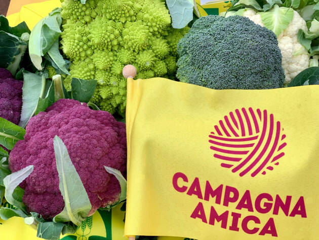 La spesa di marzo al mercato di Campagna Amica a Crema